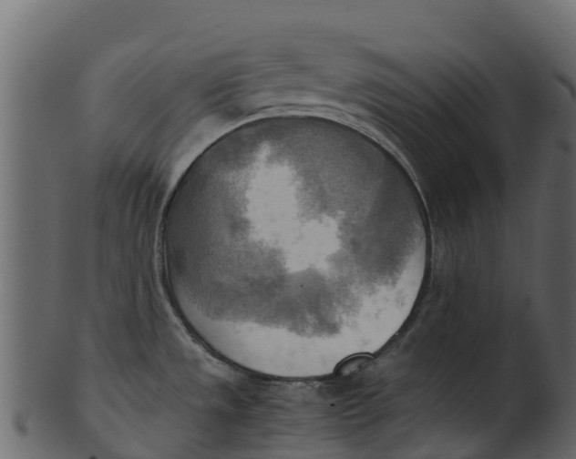 X0000100481533200807031840