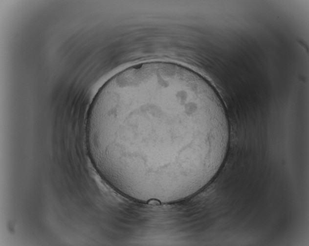 X0000100481534200807031840