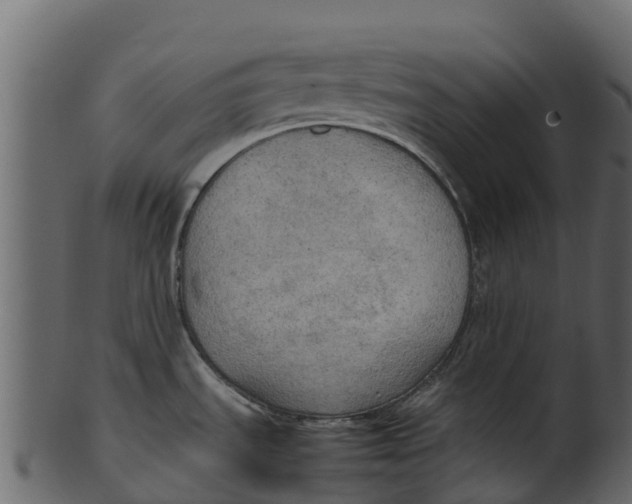 X0000100481535200807031840