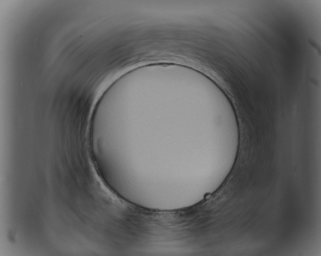 X0000100481536200807031840