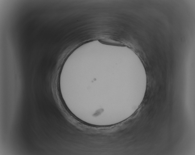 X0000100480001200807111111