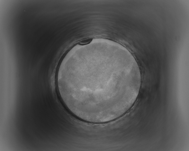 X0000100480002200807111111