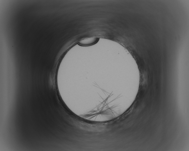X0000100480004200807111111