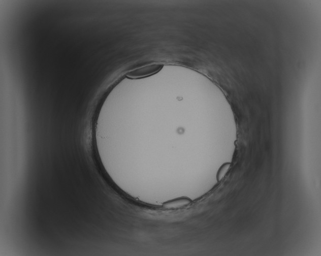 X0000100480005200807111111