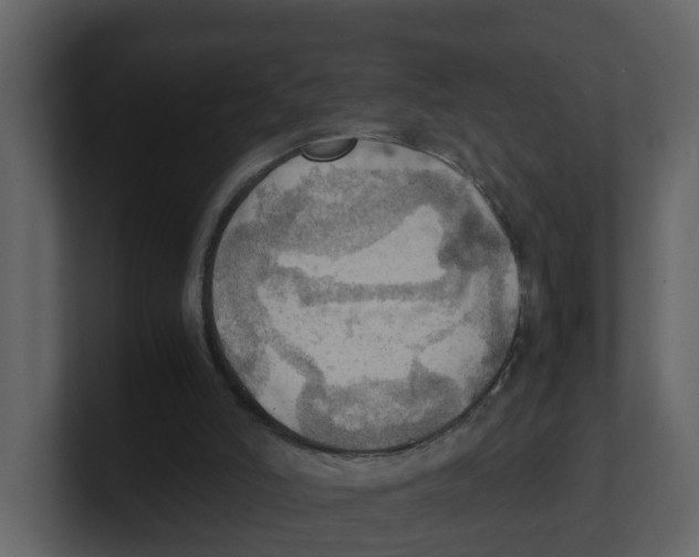 X0000100480006200807111111