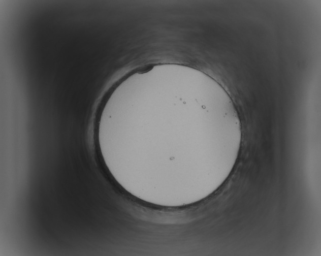 X0000100480008200807111111