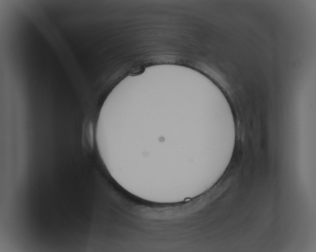 X0000100480013200807111111