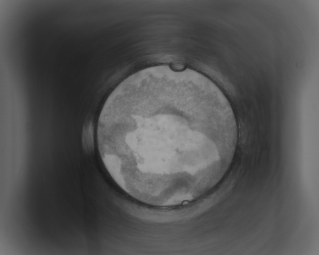 X0000100480014200807111111