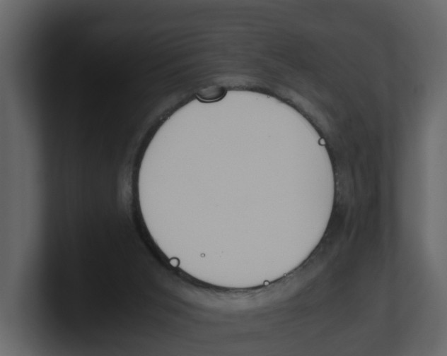 X0000100480015200807111111