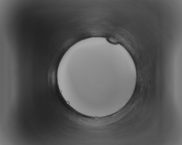 X0000100480019200807111111