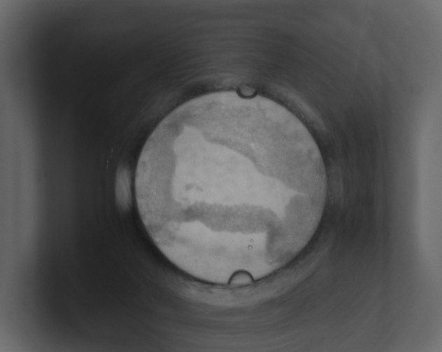 X0000100480022200807111111