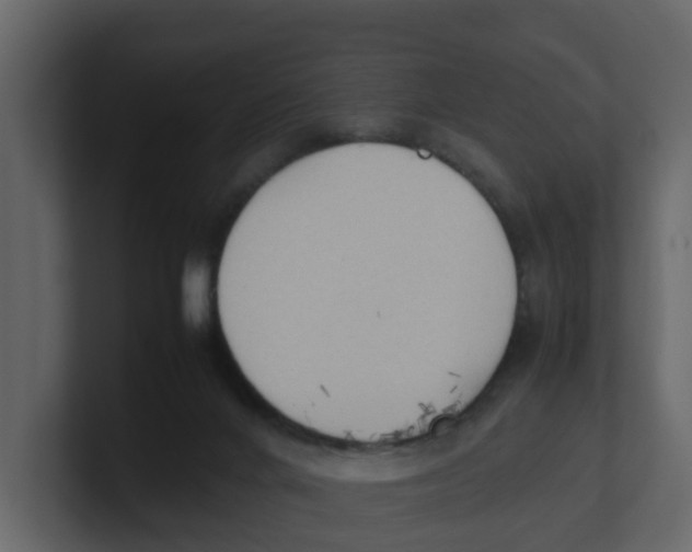 X0000100480024200807111111