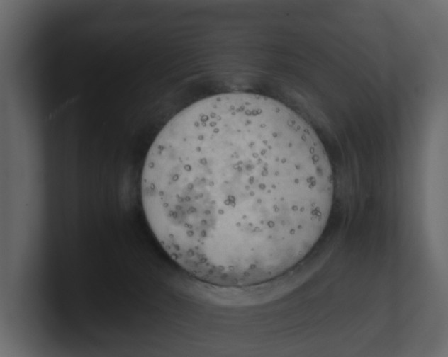 X0000100480030200807111111