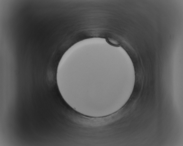 X0000100480031200807111111