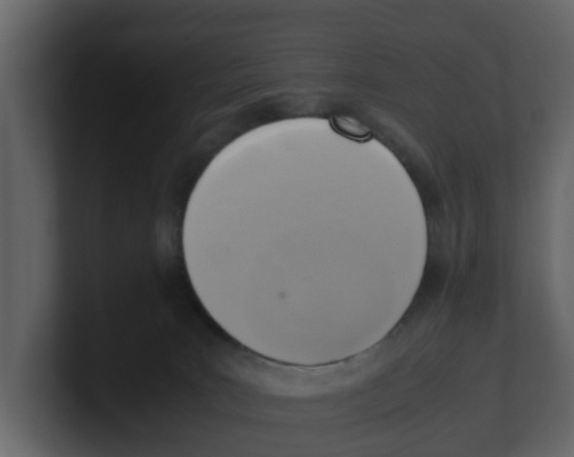 X0000100480035200807111111