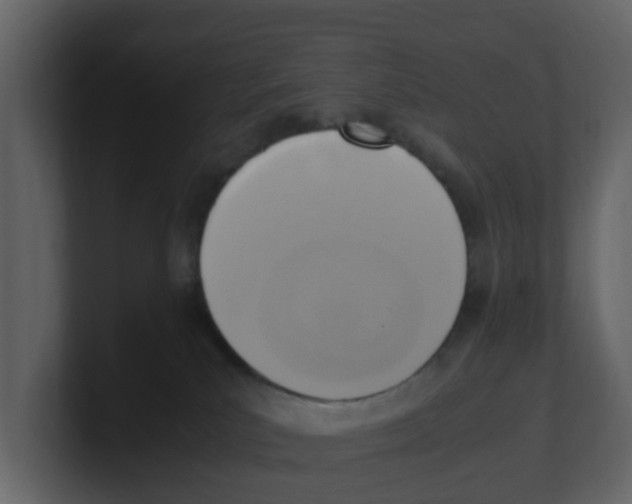 X0000100480039200807111110