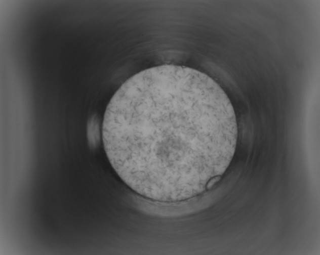 X0000100480042200807111110