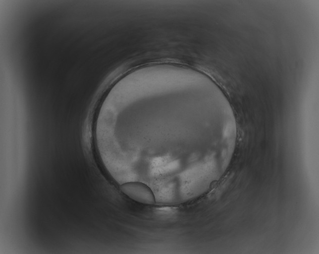 X0000100480053200807111110