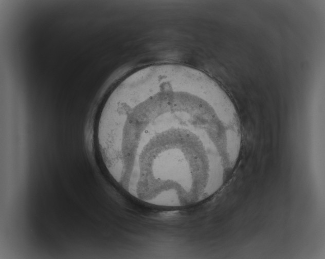 X0000100480054200807111110