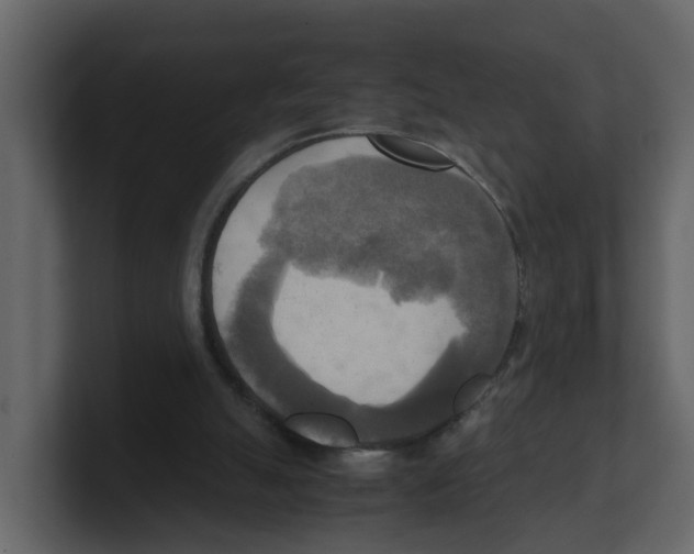 X0000100480055200807111110