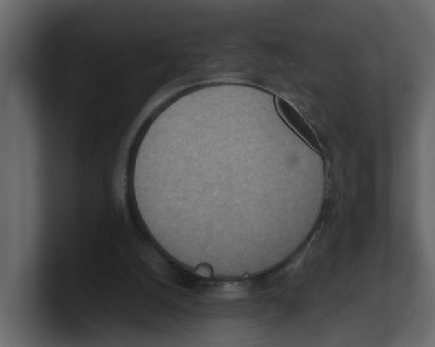 X0000100480056200807111110