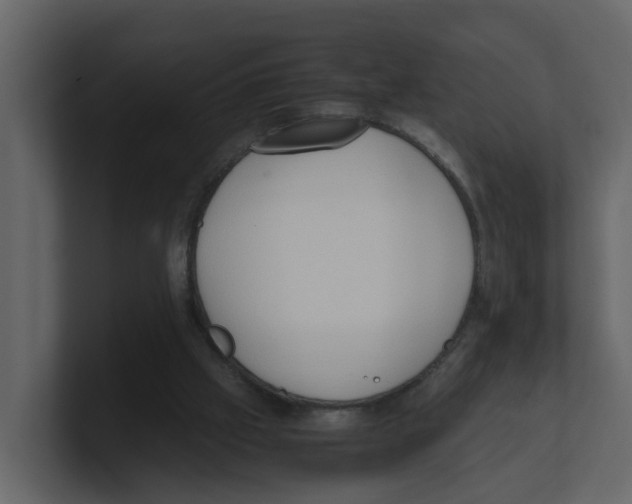 X0000100480057200807111110