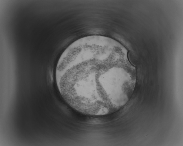 X0000100480062200807111110