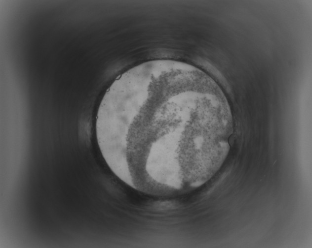 X0000100480063200807111110