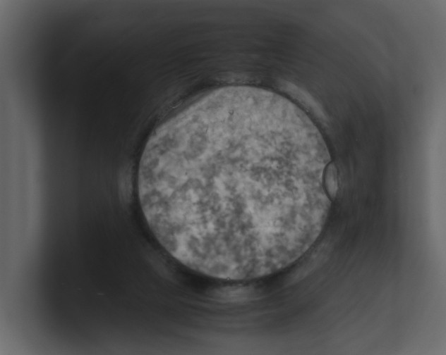 X0000100480065200807111110