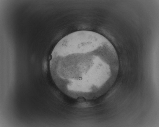 X0000100480067200807111110