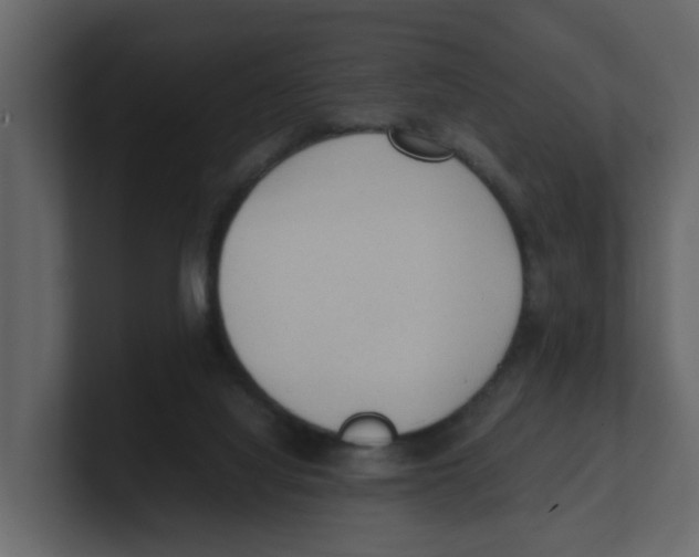 X0000100480068200807111110