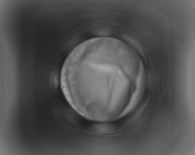 X0000100480069200807111110