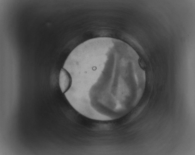 X0000100480073200807111110