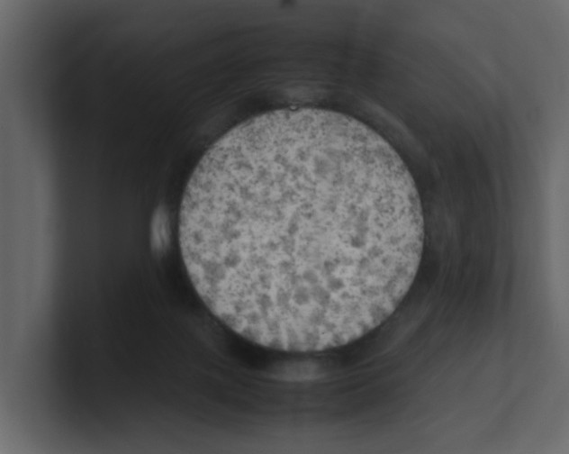 X0000100480075200807111110