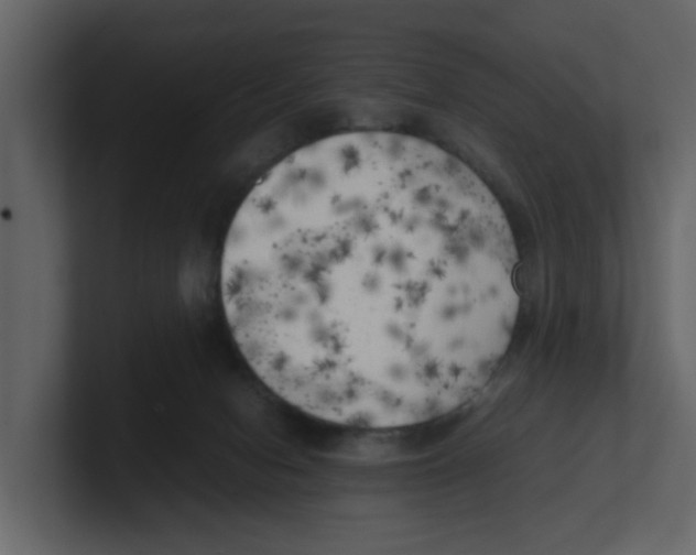 X0000100480078200807111110