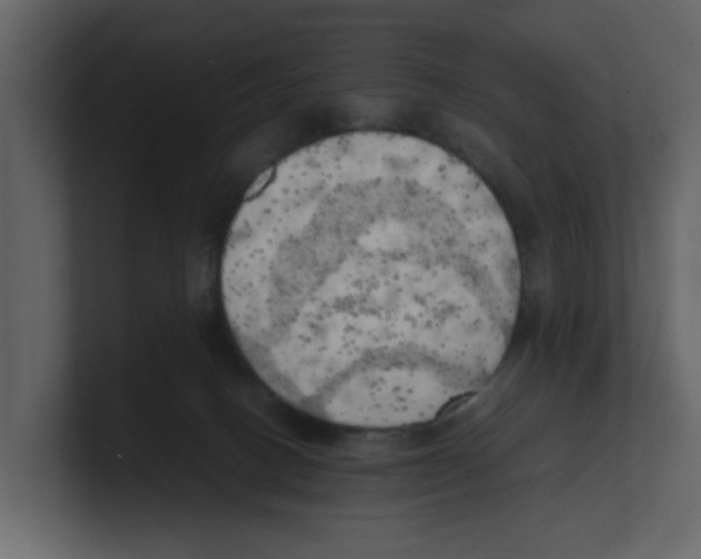 X0000100480082200807111110