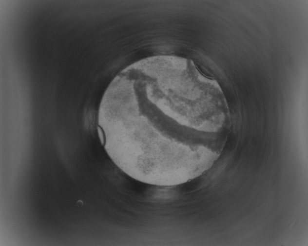 X0000100480093200807111110