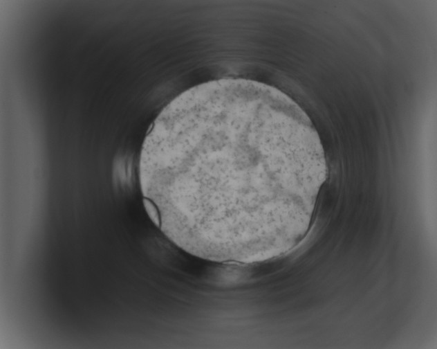 X0000100480094200807111110