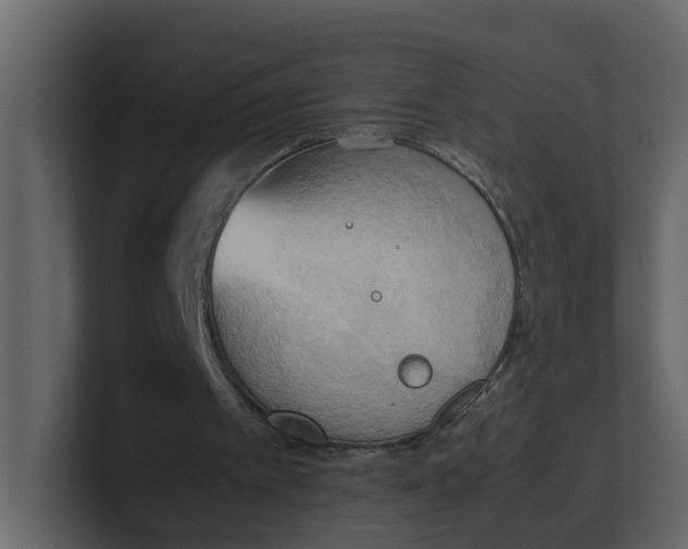 X0000100480097200807111110