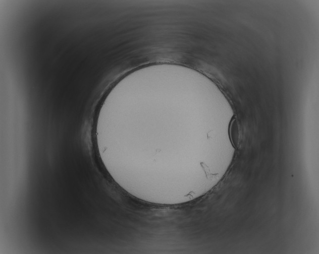 X0000100480098200807111110