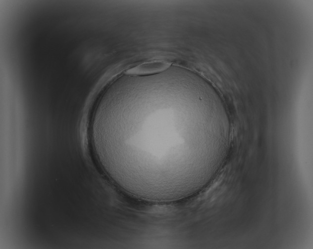 X0000100480101200807111110