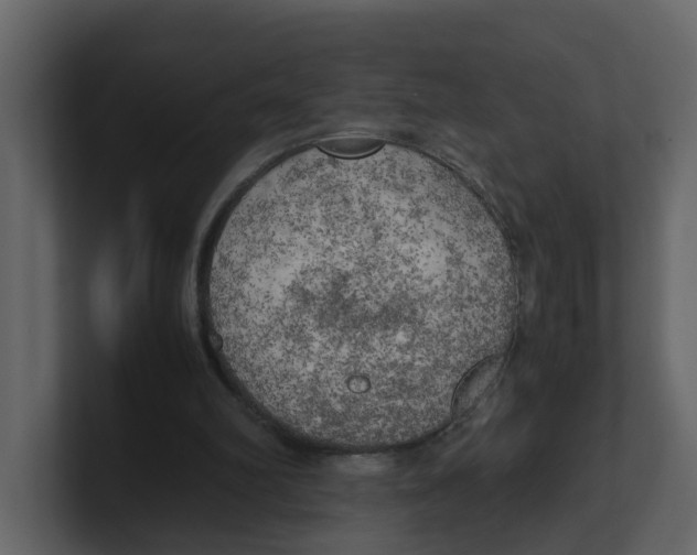 X0000100480102200807111110