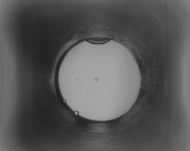 X0000100480104200807111110