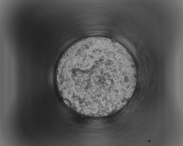 X0000100480107200807111110