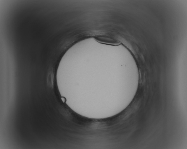 X0000100480109200807111110