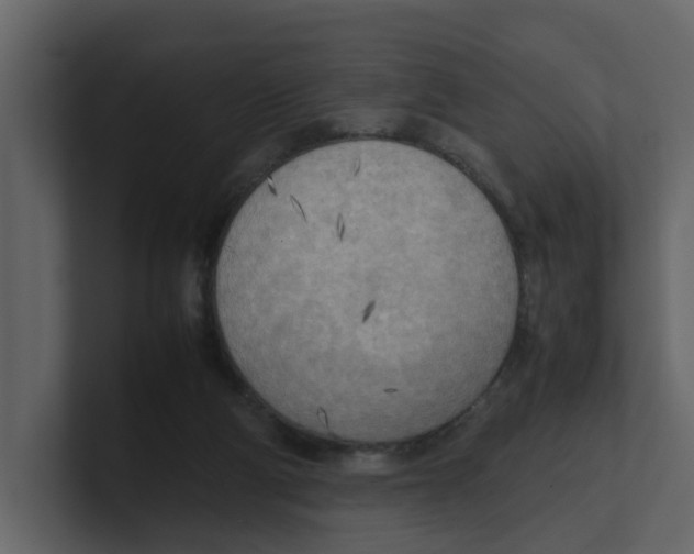 X0000100480114200807111109