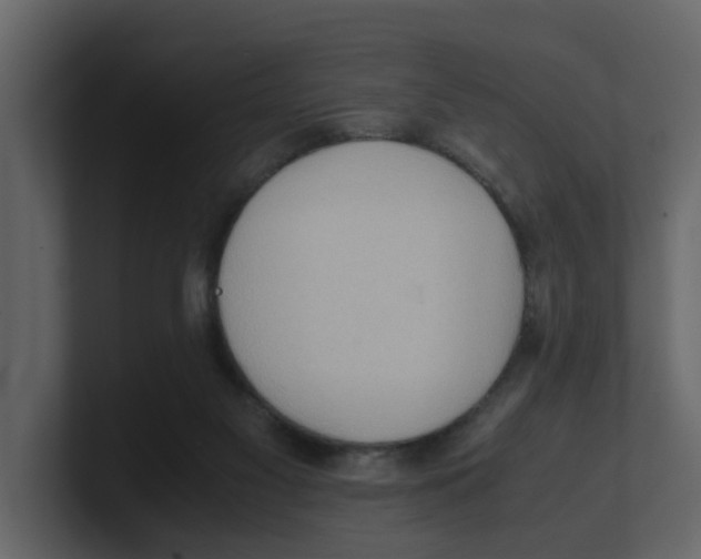 X0000100480117200807111109