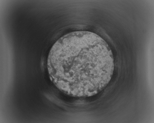 X0000100480119200807111109