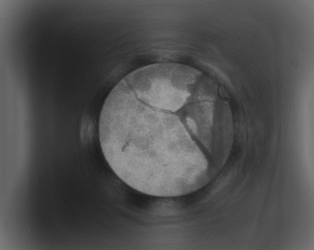 X0000100480123200807111109