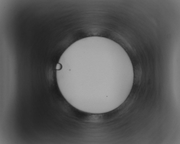 X0000100480126200807111109